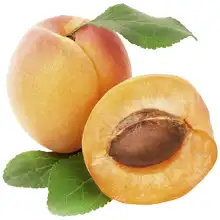 Apricot