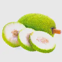Breadfruit
