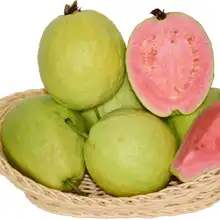 Guava