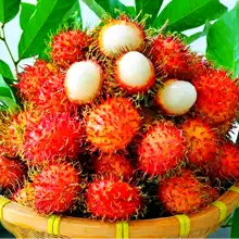 Rambutan