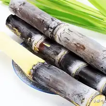 Sugarcane